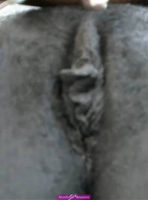Nesecitas dinero?Busco  mujer negra,morena o blanca