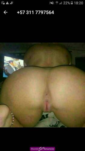 Pechugona  bb  40