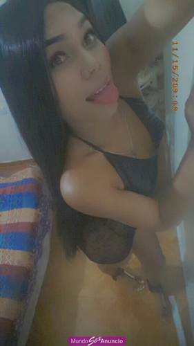 Transexual con apartamento privado sin afanes sitio discreto