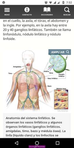Terapeuta masculino titulado  dolores musculares y masajes