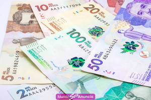 SOLICITAMOS ATRACTIVAS ESCORTS TRABAJO DIURNO AL NORTE !!