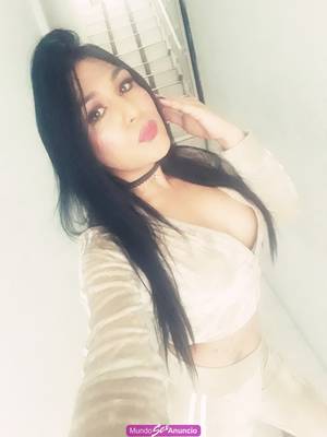 Gatita cariñosa tierna femenina 26 bosa
