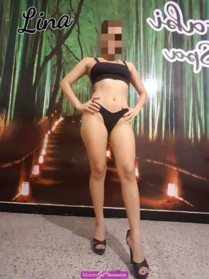 LINA.. PERRITA CIN CHUCHITA SUPSIONADORA PARA DARTE PLACER