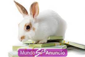 OFERTA DE TRABAJA PARA CHICAS A DOMICILIOS $ ALTOS INGRESOS