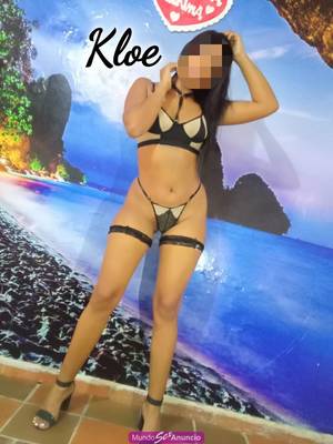 KLOE CABALLOTA COMPLACIENTE FULL LUBRICADA