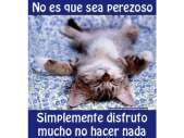 AMO A DAR SEXO ORAL A LA MUJER LIMPIA 18 A 35 ADE --------