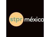 BACHELORETTE mostrar a las mujeres EXCLUSIVOS EXIGENTES 0445545248981
