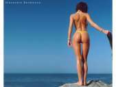 Enciende un paraíso d y relajarse 3143530589