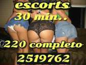 ESCORTS TEL : 2519762 2519762