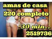 AMAS DE CASA TEL : 2519736 2519736
