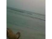 solo amistad ocasional 8332396714