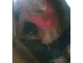 linda sofy nivel ejecutivo