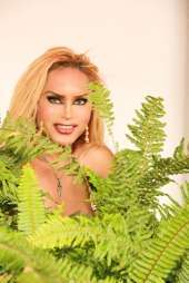 Espectacular chica transexual en Pachuca y Toluca