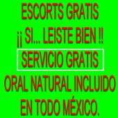 Escorts Gratis