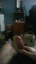 Se busca maestra sexual