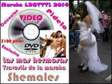 Videos de la Marcha LBGTTTI las mas ricas Transexuales