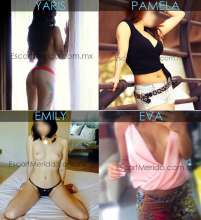 Chicas Escorts 24/7 Nivel VIP & Ejecutivo