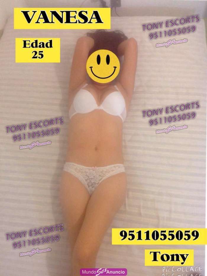 videos de chicas escorts estela escort videos de chicas escorts estela escort