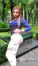 TRANSEXUAL REAAL COMPLACIENTE