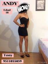 TONY ESCORTS ( VARIEDAD DE CHICAS ) AL 9511055059