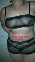 ***5560340358*PROMO* SOLO ESTA SEMANA**