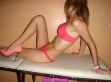 hermosa perra en celo de curvas pronunciadas