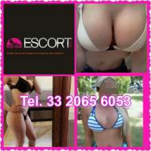 Jocelin VIP – 100% Natural y muy complaciente – 33206560