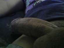Soy Angel y busco una chica para tener sexo gratis!