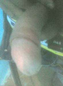 Si en verdad quieres Un servicio de Sexo, solo conmigo