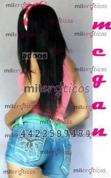 600 RAPIDIN