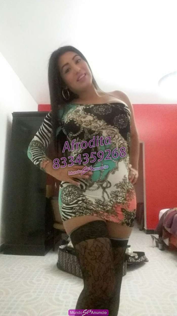 Sexo anal con transexual afrodita en Durango - 8334359268