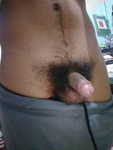 Me encantan las mujeres peludas!!