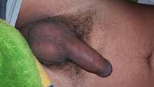 Sexo Gratis con todas las mujeres