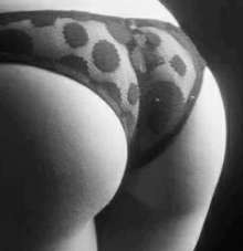 monica 2228416363 hotel motel domicilio 650 dame lechita