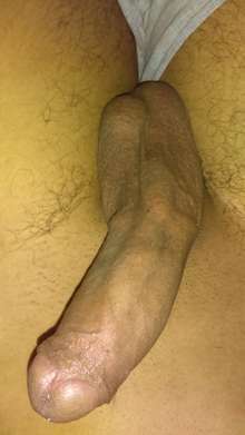 Doy sexo gratis