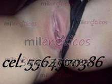 CACHORRA EN CELO LISTA PARA HACERTE GOZAR   .