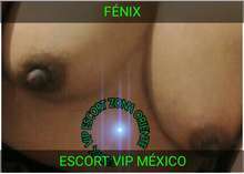 ESTOY DISPONIBLE BBS SOY FENIX 💖
