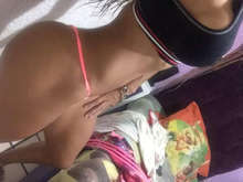 CULICHI  ARDIENTE