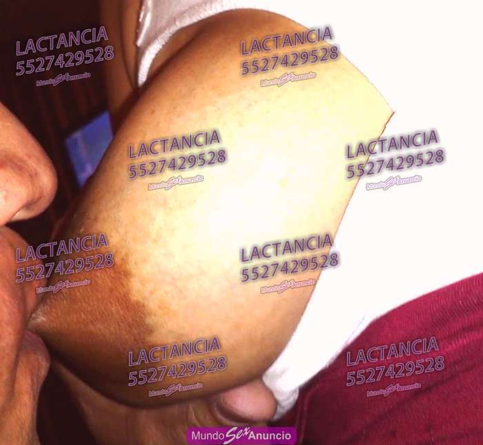escort grandes tetas web de escorts escort grandes tetas web de escorts