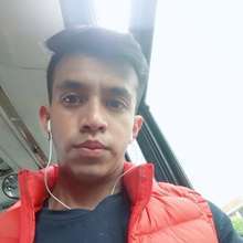 Chacal dotado complaciente
