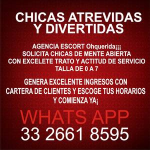 Contratamos chicas escort de 18 a 25 años