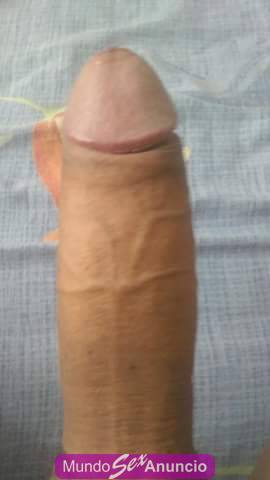 Joven limpio y discreto 26cm