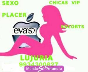 BUSCAS PLACER? LLAMANOS AHORA SOMOS ESCORTS EVAS 9934300827