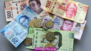 ofrezco apoyo de 800 diarios a chica etsudiante guapa