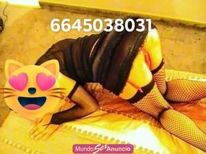 Paty soy madurita quiero tu verga en mi culito