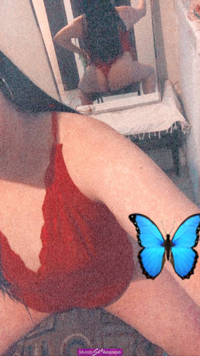 MAÑANERO RICO CHERRY CURVY 400 CON UBICACIÓN