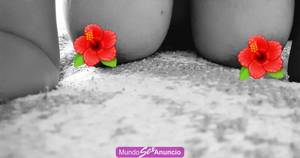 Central del Norte $350 soy ardiente y fogosa 24 hrs lunes a