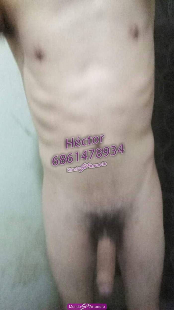 Héctor disponible todo el día en Mexicali, Baja California - 6861478934