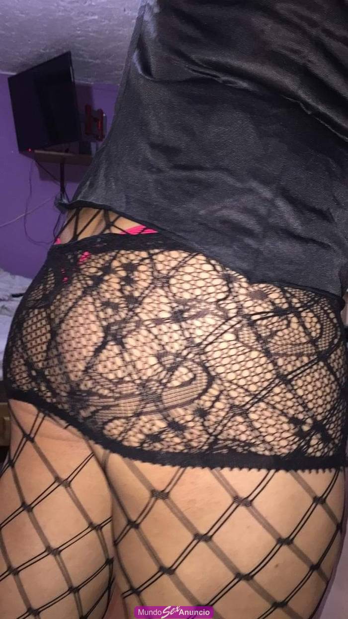 Se buscan travestis y transexuales para tener sexo gratis en en Gustavo A.  Madero, DF - Distrito Federal - 5582462226