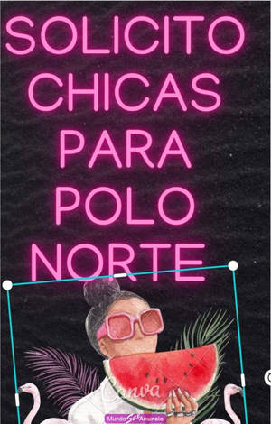 El polo norte